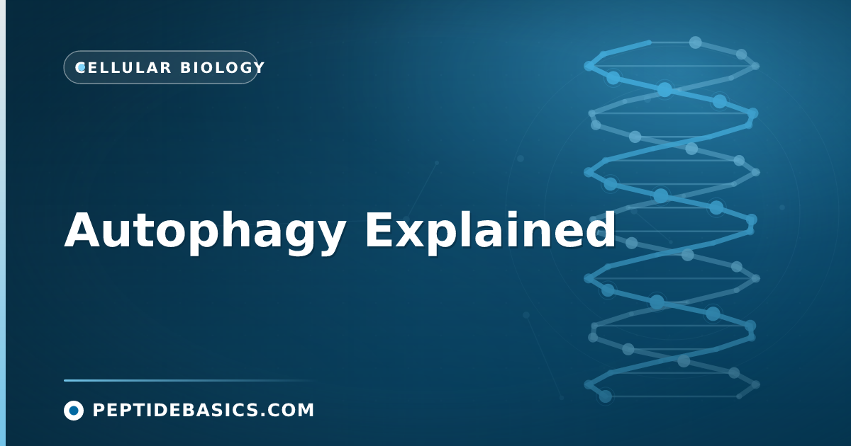 Autophagy Explained