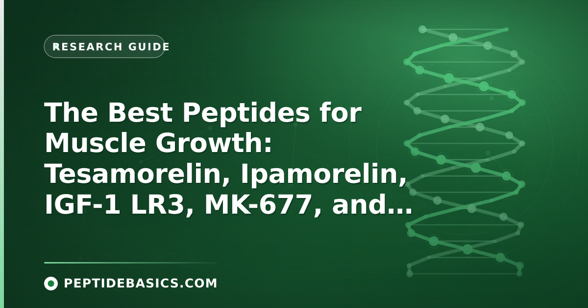 The Best Peptides for Muscle Growth: Tesamorelin, Ipamorelin, IGF-1 LR3, MK-677, and More