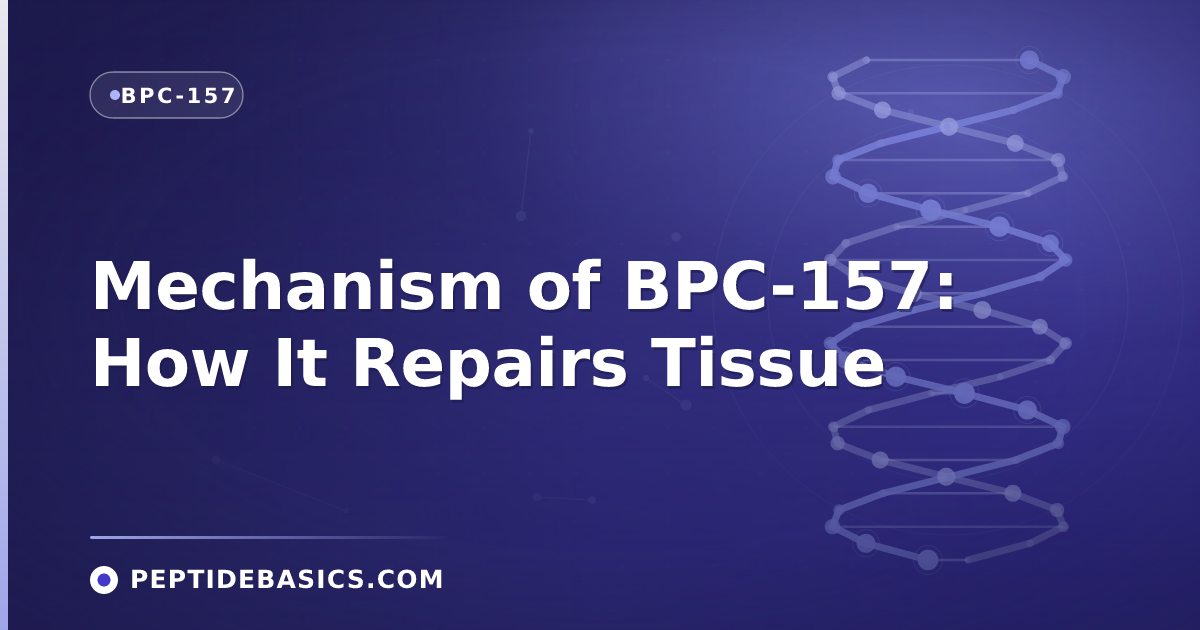 Mechanism of BPC-157: How It Repairs Tissue
