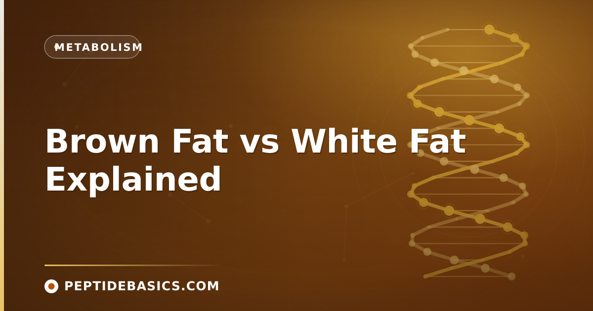 Brown Fat vs White Fat Explained