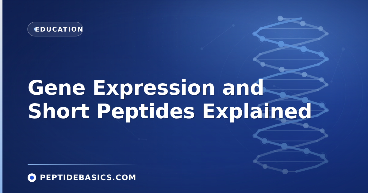 Gene Expression and Short Peptides Explained