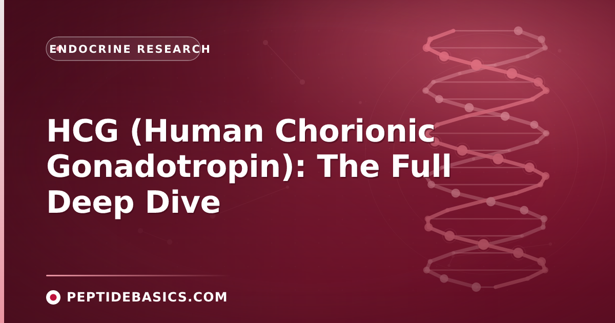 HCG (Human Chorionic Gonadotropin): The Full Deep Dive