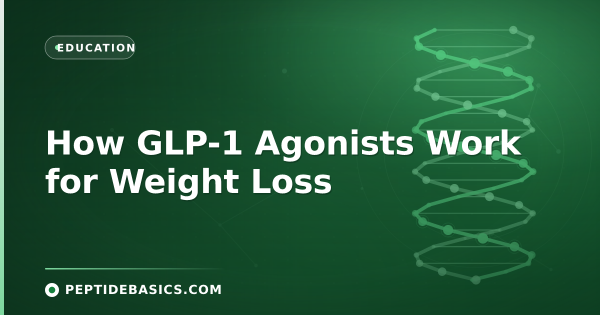 How GLP-1 Agonists Work for Weight Loss