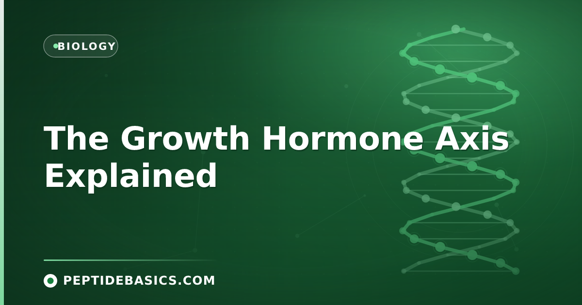 The Growth Hormone Axis Explained